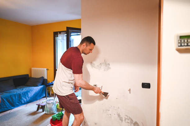 Best Residential Mold Removal  in Rush City, MN